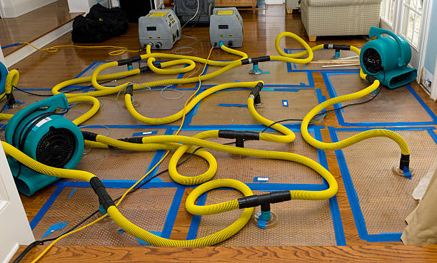 Professional Water Damage Restoration technician working in Trimble, OH
