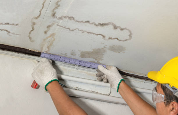 Affordable Water Damage Repair solutions in Trimble, OH